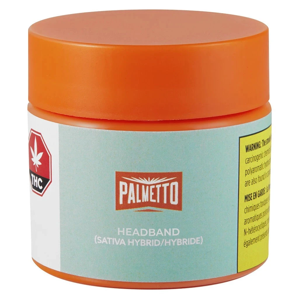 Palmetto New Arrivals Headband 4 Palmetto New Arrivals Headband