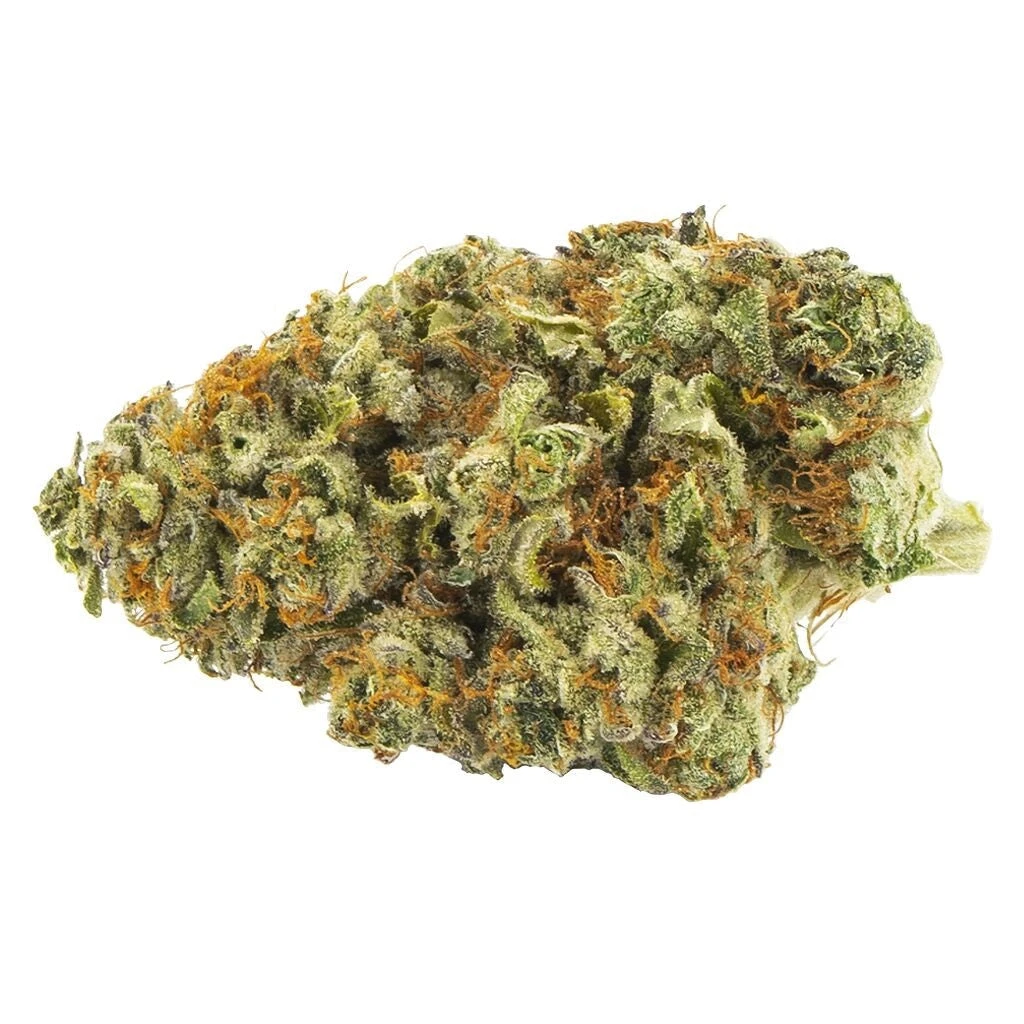 Palmetto New Arrivals Headband 3 Palmetto New Arrivals Headband