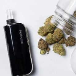 Airistech Herbva X New Arrivals