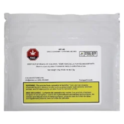 Steel City Green New Arrivals HiFi 4G