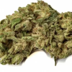 Highland Grow Cherry Burst