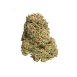 New Arrivals Homestead Bandwagon - Indica