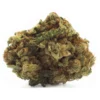 Houseplant Sativa New Arrivals 2 Houseplant Sativa New Arrivals