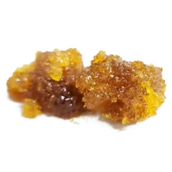 Dab Bods Hybrid New Arrivals