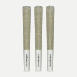 Kolab Pre-Rolls Hybrid PR 3 X 0.5 G