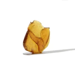 TRX New Arrivals Hybrid