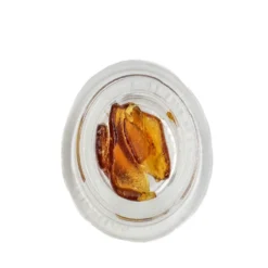 TRX New Arrivals Hybrid