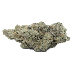 RC Supply Co. New Arrivals Ice Cream Cake