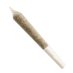 Ignite Cannabis Co. Rockstar OG 2 Pack Pre Roll (.5g)
