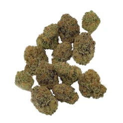 Let's Be Buds New Arrivals In-Da Couch