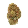 New Arrivals Daily Special Indica