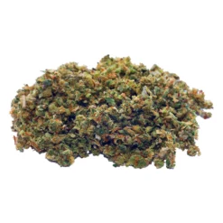 Divvy Indica Harvest New Arrivals