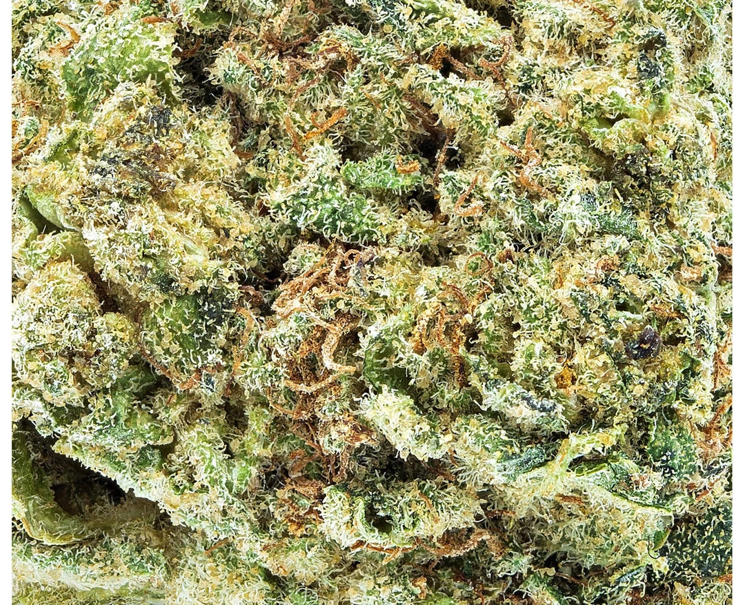 Indiva Glueberry OG New Arrivals 5 Indiva Glueberry OG New Arrivals