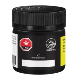 Indiva ICC New Arrivals