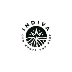 Indiva Powdered Donuts New Arrivals