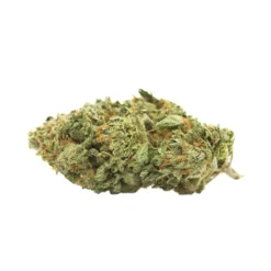 New Arrivals Indiva San Fernando Valley OG Kush
