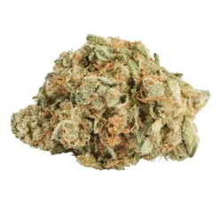 Sev7n Island Gold | Kawehnò:ke Kahwistanó:ron New Arrivals