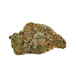 Sev7n Island Sugar New Arrivals