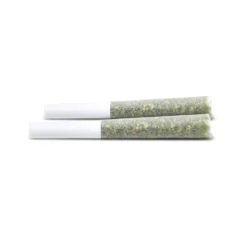 Indiva Pre-Rolls Jack Herer