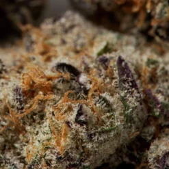 New Arrivals JOI Botanicals Cake Crasher #2