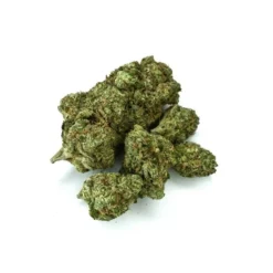 New Arrivals JOI Botanicals Electric Ave