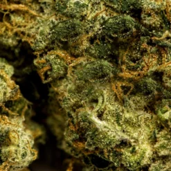 New Arrivals JOI Botanicals Electric Ave