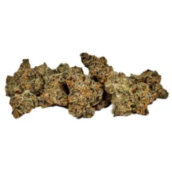 New Arrivals JOI Botanicals Platinum Scout 6 New Arrivals JOI Botanicals Platinum Scout