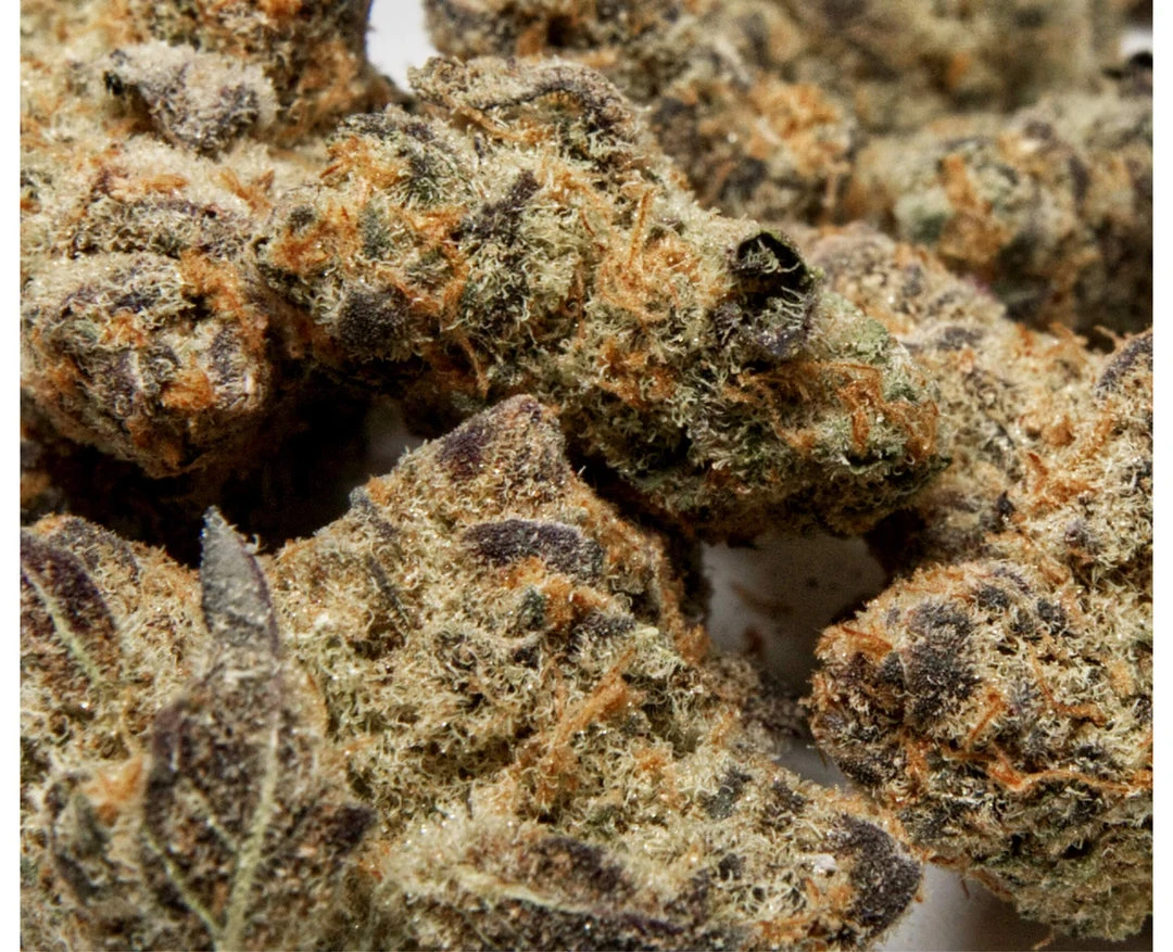 New Arrivals JOI Botanicals Platinum Scout 5 New Arrivals JOI Botanicals Platinum Scout