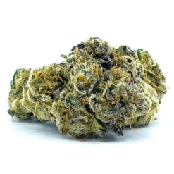 New Arrivals Joint Venture Craft Cannabis Rainbow Driver