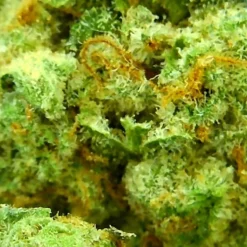 Joint Venture Craft Cannabis The Ultimate 7 Joint Venture Craft Cannabis The Ultimate