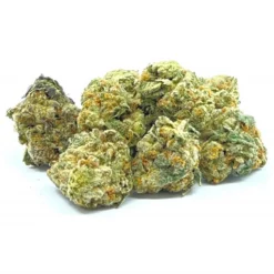 Joint Venture Craft Cannabis The Ultimate