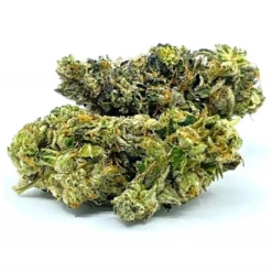 New Arrivals Joint Venture Craft Cannabis Tom Ford Island Pink