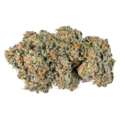 Jonny Chronic French Macaron Milled