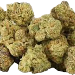 Table Top Jungle Cake New Arrivals