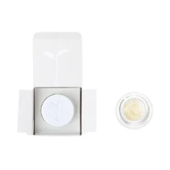 Raw Garden Key Lime Cookies