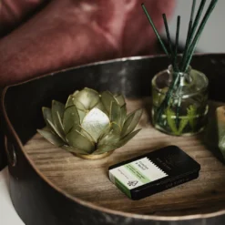 Kin Slips Park Life | 10mg CBD + 1mg THC | 10 Pack Sublingual Strips