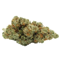 18twelve New Arrivals King Kush