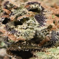 Next Friday Kitchen Sink New Arrivals