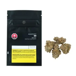 Kolab Project Slurricane