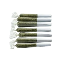 General Admission Kootenay Fruit PR 7 X 0.5 G Pre-Rolls
