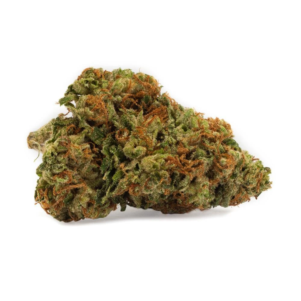 DNA Genetics Kosher Kush New Arrivals 3 DNA Genetics Kosher Kush New Arrivals