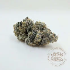 North 40 Cannabis Ladies Night