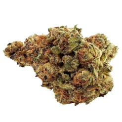 Legend Cactus Breath