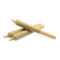 Legend Sativa Blend 3 Pack Pre Roll (.75g)