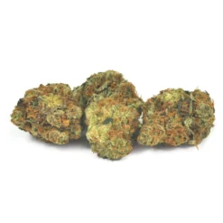 Strain Rec New Arrivals Lemon OG Haze