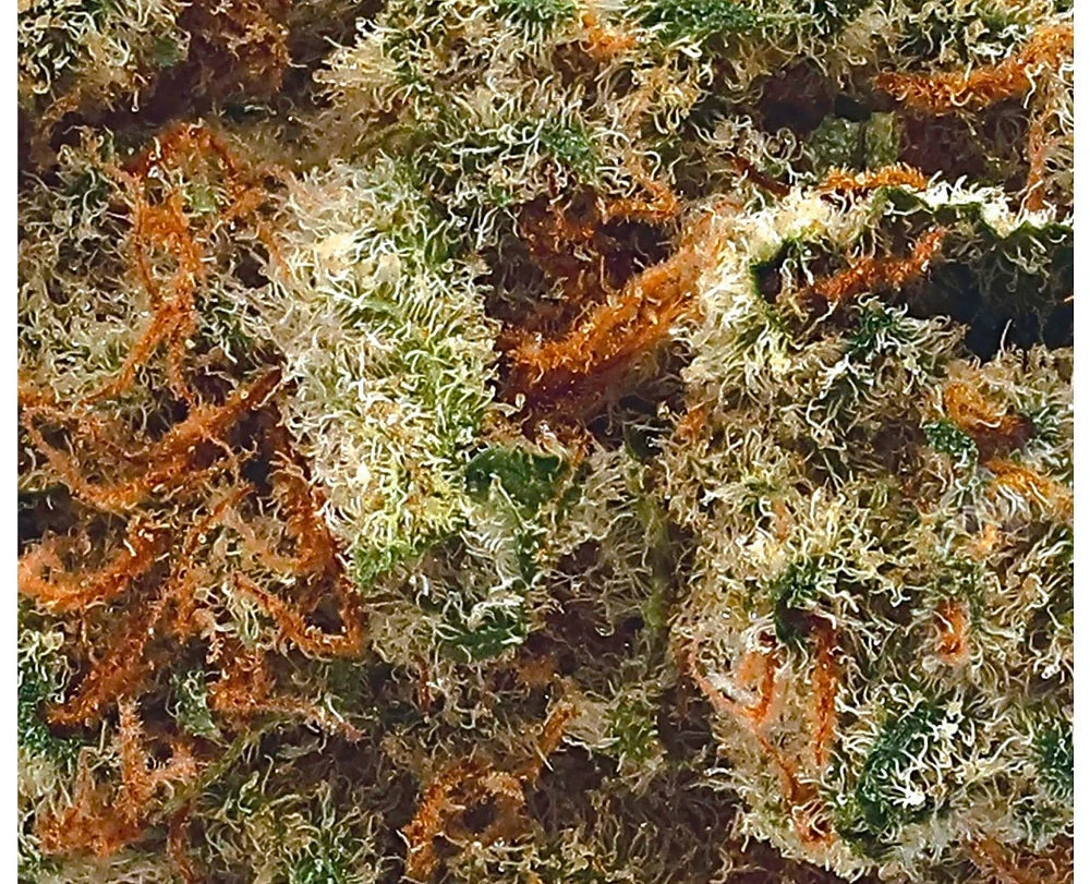 Haven St Lemon Pound Cake New Arrivals 5 Haven St Lemon Pound Cake New Arrivals