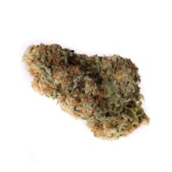 OGEN Lemon Z New Arrivals