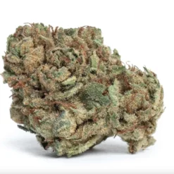 New Arrivals Liiv Bali Kush