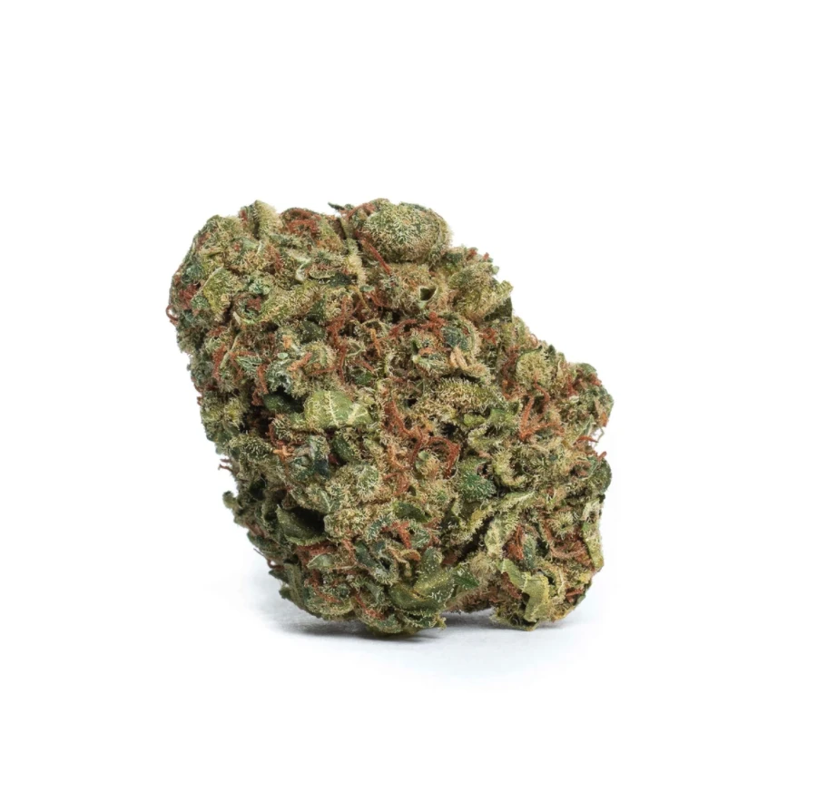 New Arrivals Liiv Easy Cheesy 3 New Arrivals Liiv Easy Cheesy