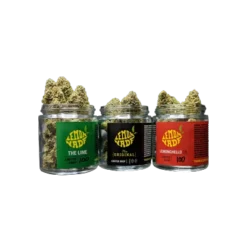 Lemonnade Lions Mane New Arrivals